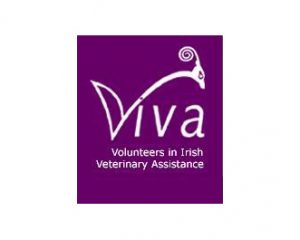 VIVA-Logo-new-300x240