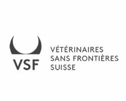 vsf-SWITZERLAND