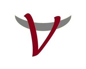 vsf_sverige_logga2-300x240